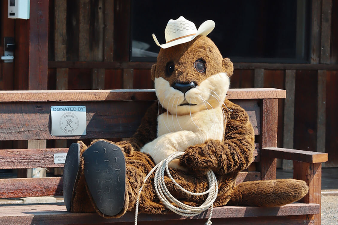 Otis the Otter sitting on a bench.