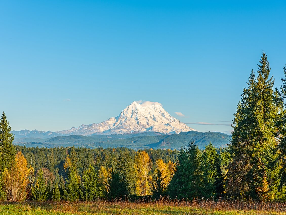 South Pierce County