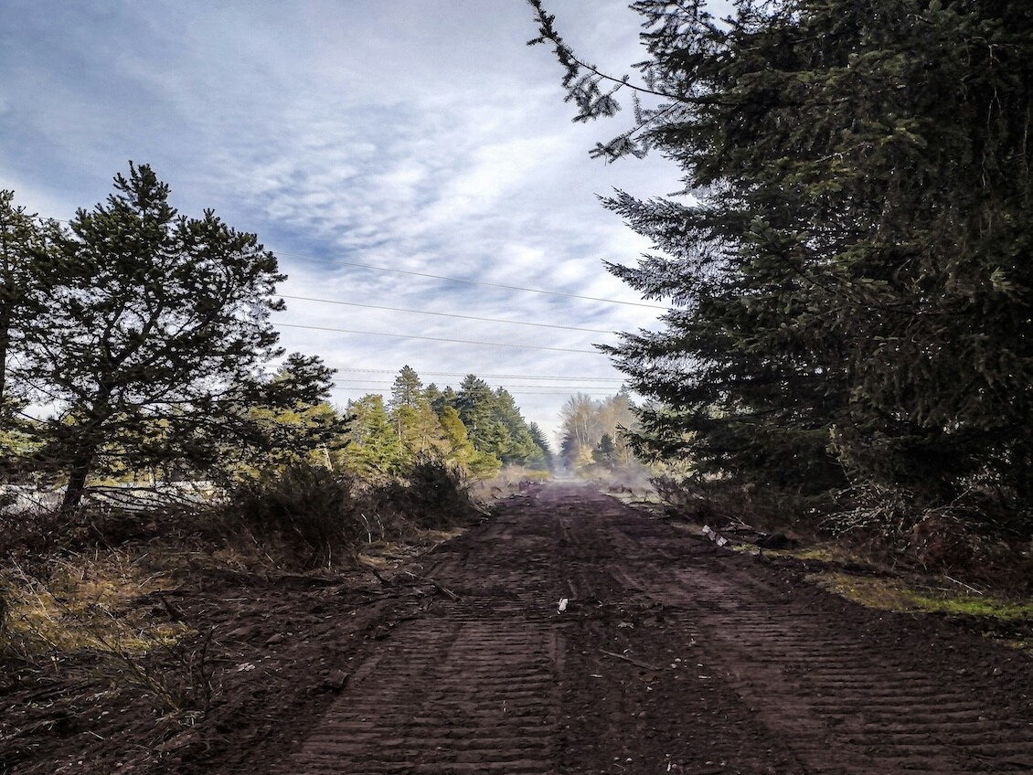 Thurston County
